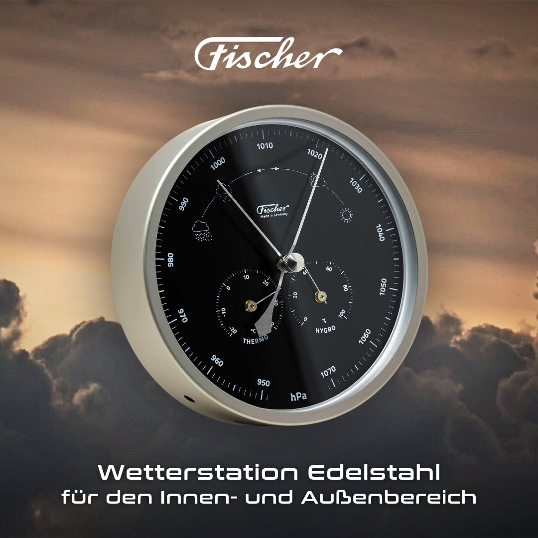 1602-01 Weather station stainless steel