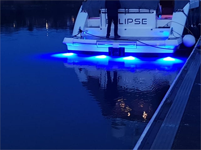 Piranha P12  Single / Dual Colour (6,200Lm)