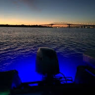 Piranha P3 Underwater LED light